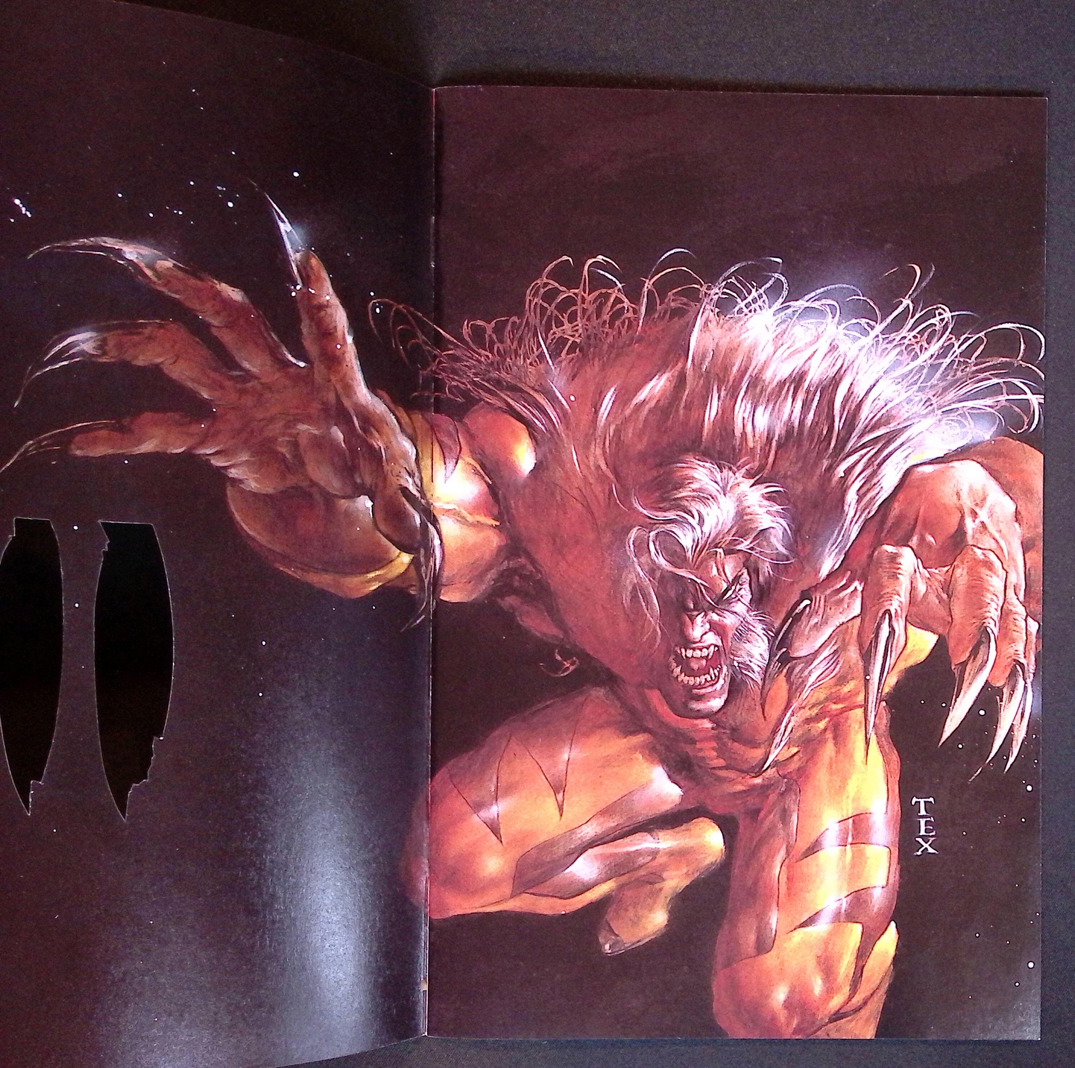 Sabretooth # 1 1993 NM-