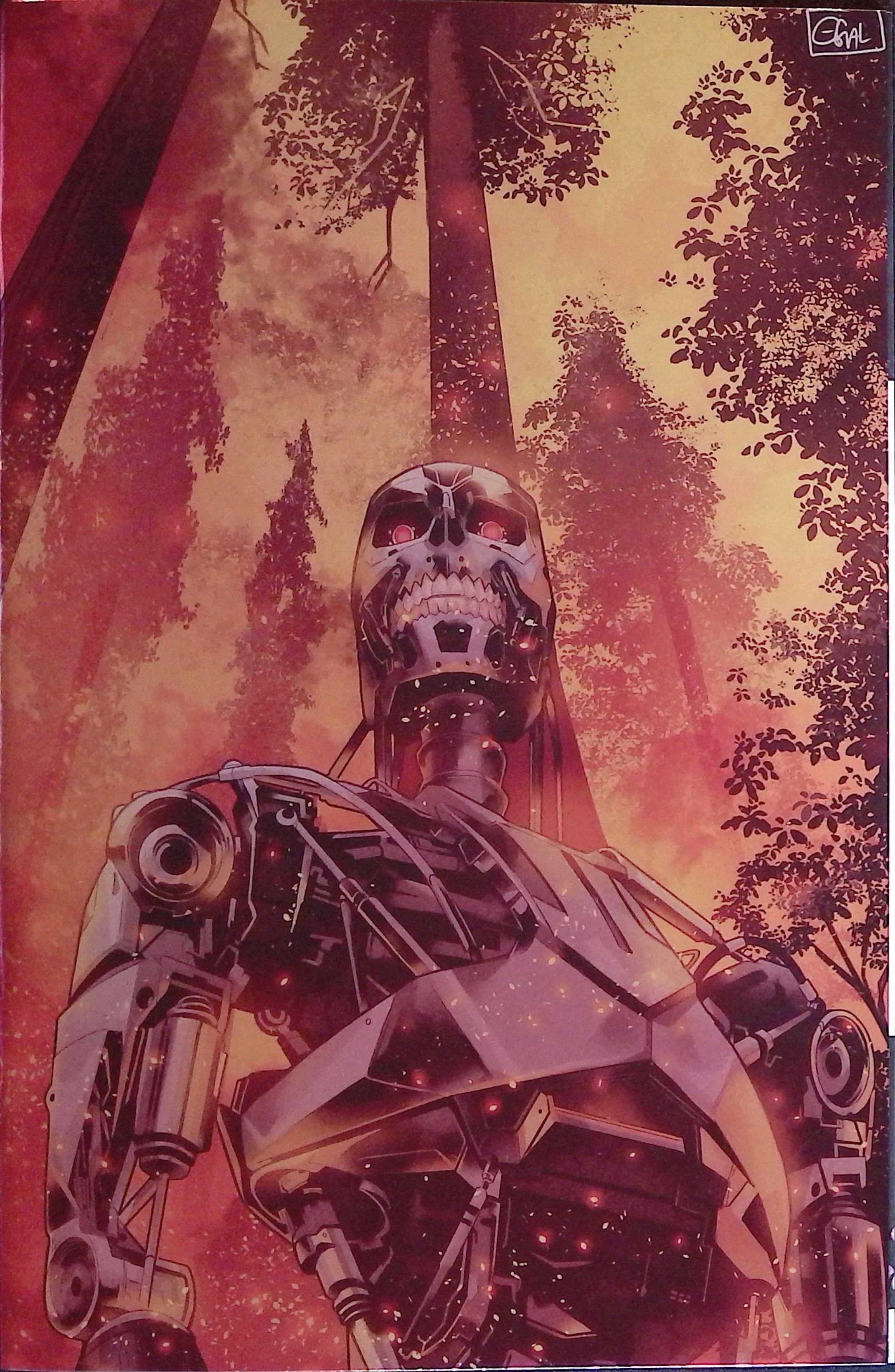 The Terminator # 1 1:15 Galmon Foil Variant NM