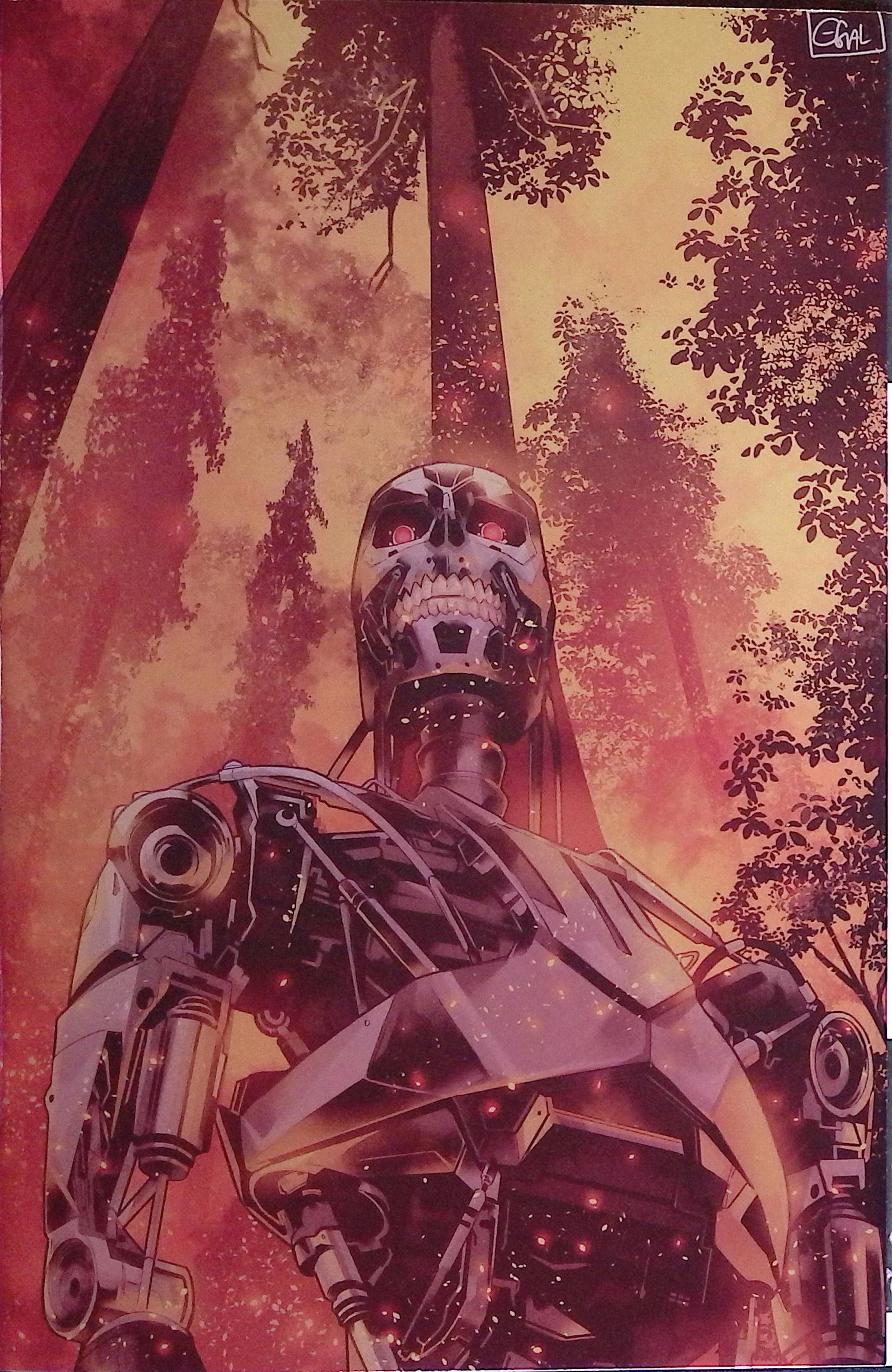 The Terminator # 1 1:15 Galmon Foil Variant NM