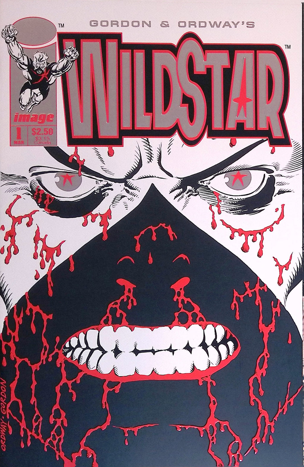 WildStar: Sky Zero # 1 1993 NM