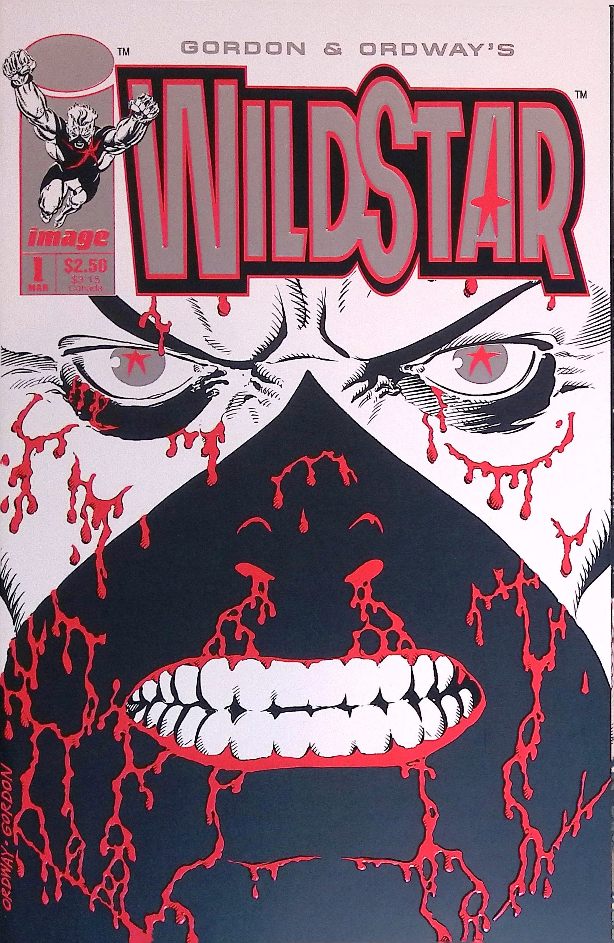 WildStar: Sky Zero # 1 1993 NM