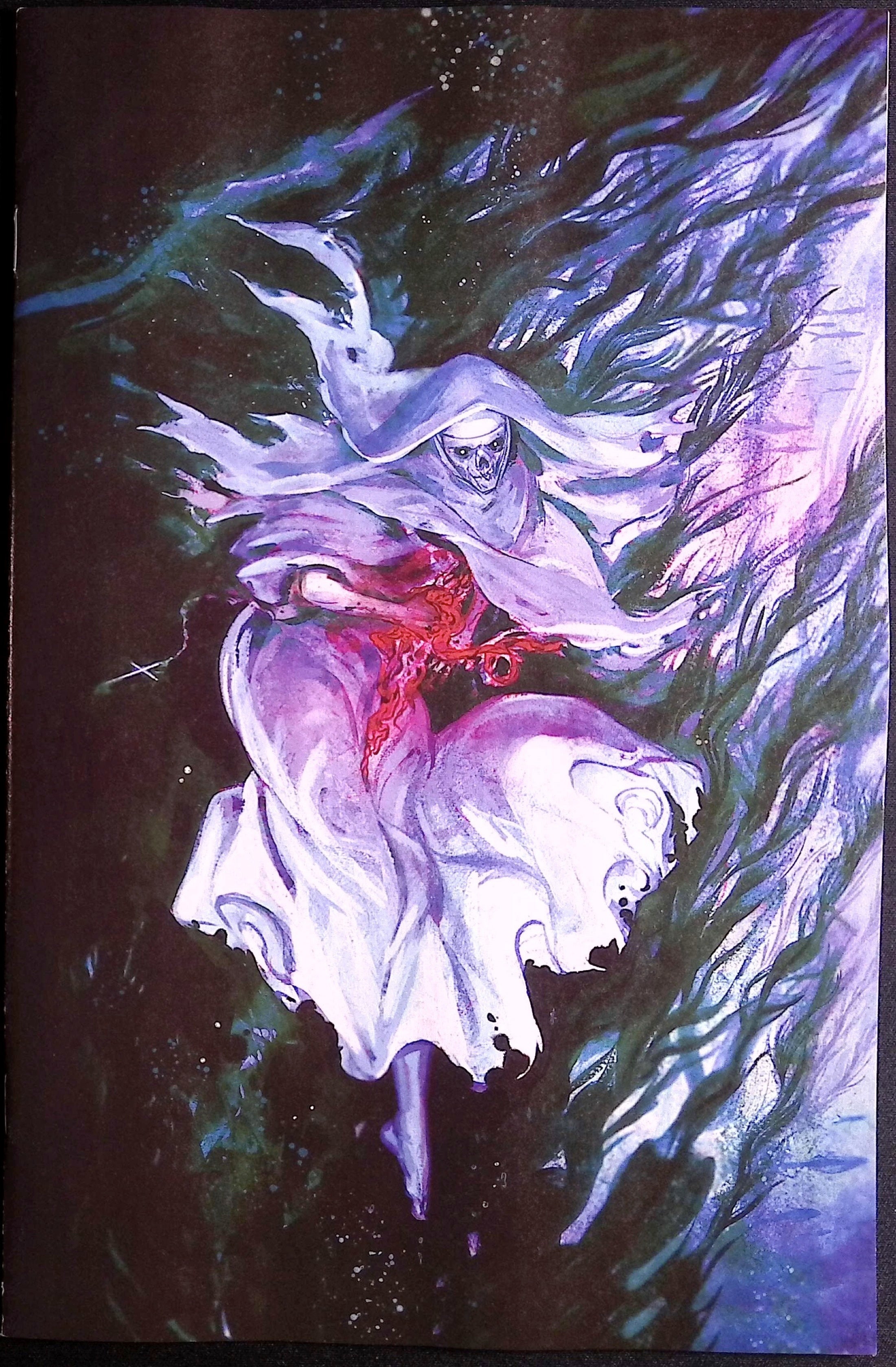 Estuary: A Ghost Story #1 1:10 Cover D Dey Rey Full Art Variant First Printing 2026 BN