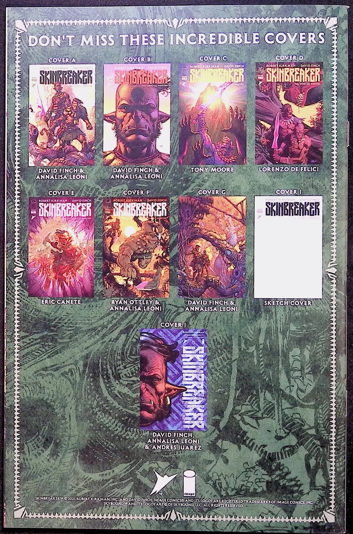 Skinbreaker # 1 Cover B David Finch & Annalisa Leoni First Printing 2025 NM