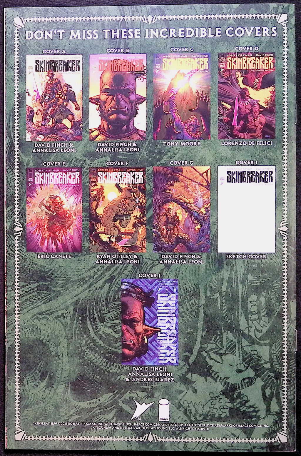 Skinbreaker # 1 Cover B David Finch & Annalisa Leoni First Printing 2025 NM