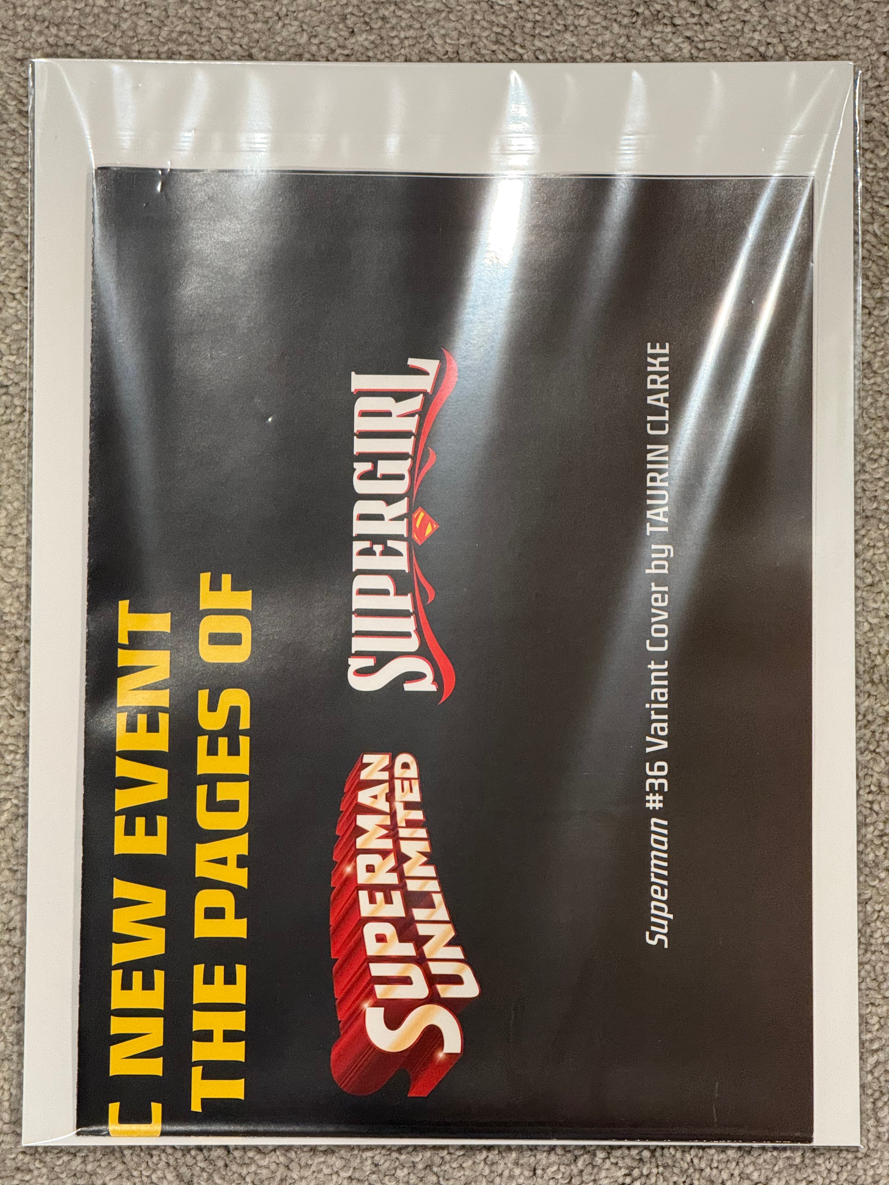 Reign of the Superboys Store Promo Poster Folded BN