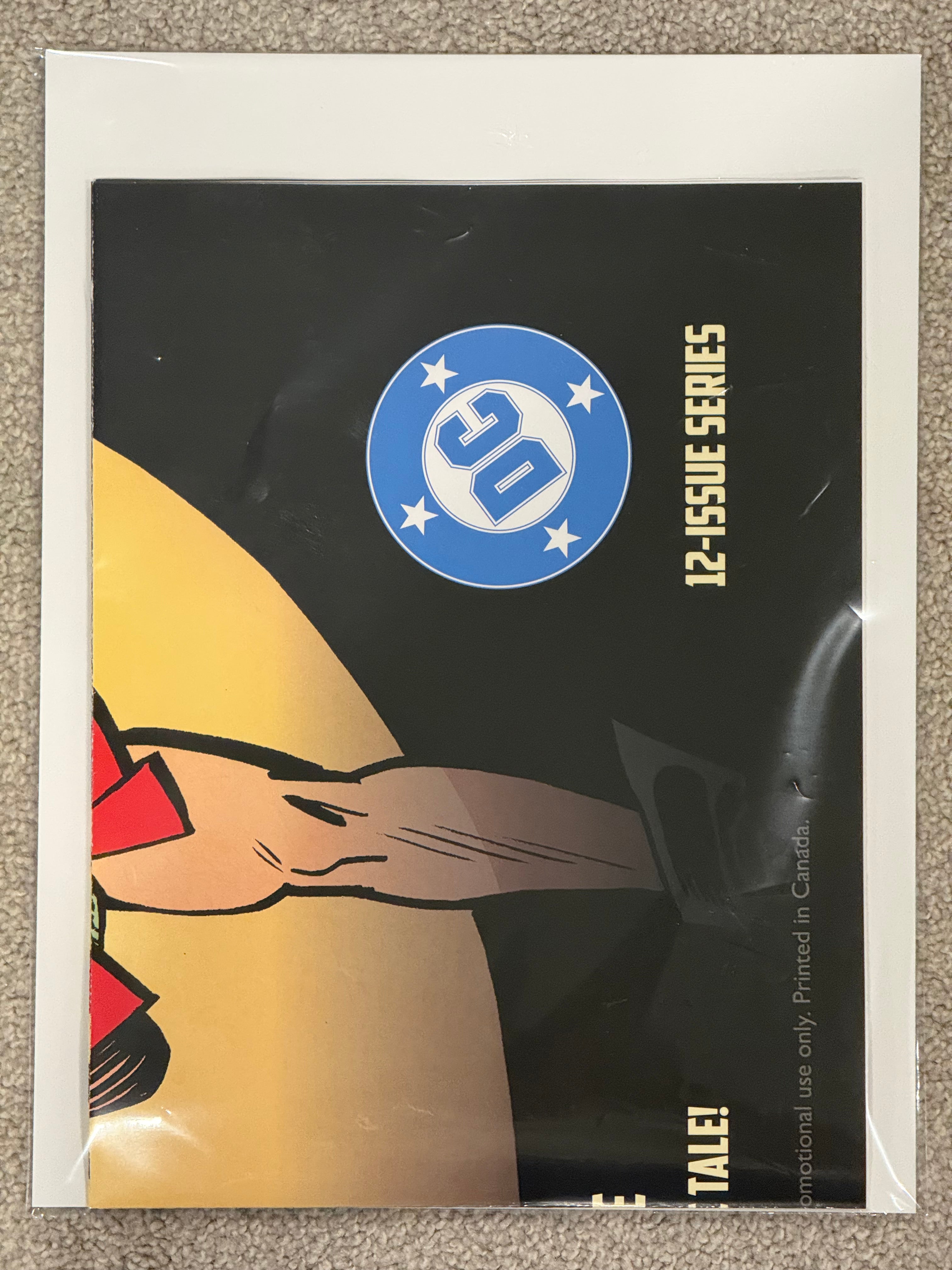 Batman &amp; Robin: Year One Dynamic Duos Store Promotion Poster 2026 Folded BN