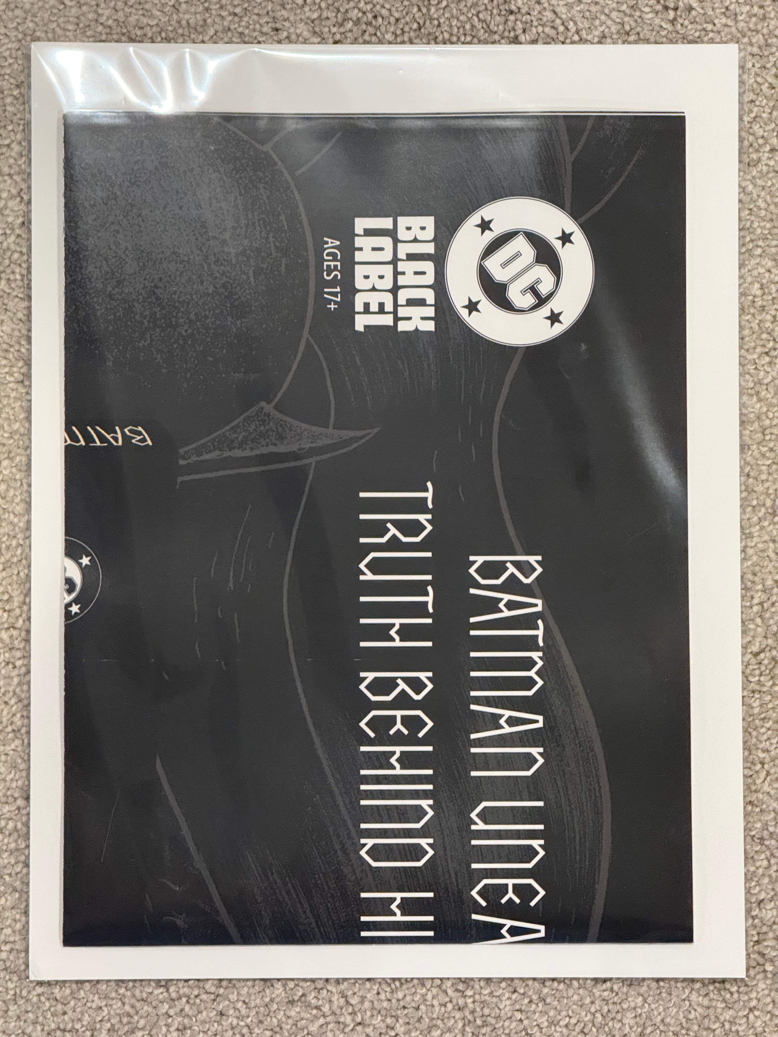 Batman: Gargoyle of Gotham Store Promo Poster 2026 Folded BN